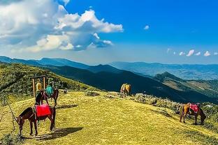 津媒谈中超球队亚冠首轮：泰山轮换 浙江战武里南或为国足树信心